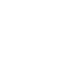 Travel Icon